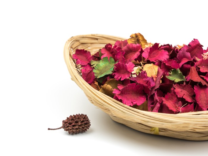 Natural Air Fresheners for Home 2025 Discount