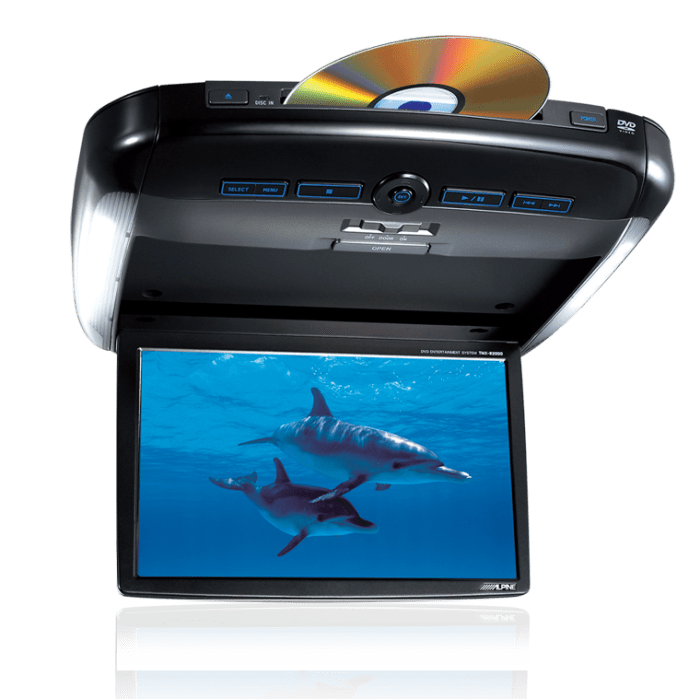 Rear Seat Entertainment Screens